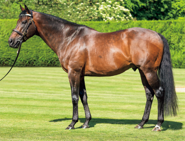 Kingman