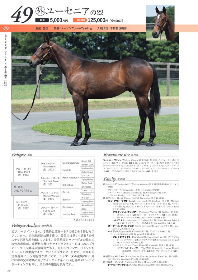 2023年度1歳募集馬カタログ