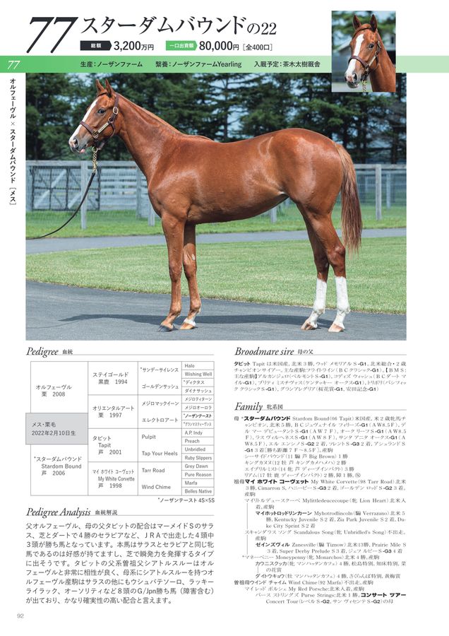 2023年度1歳募集馬カタログ