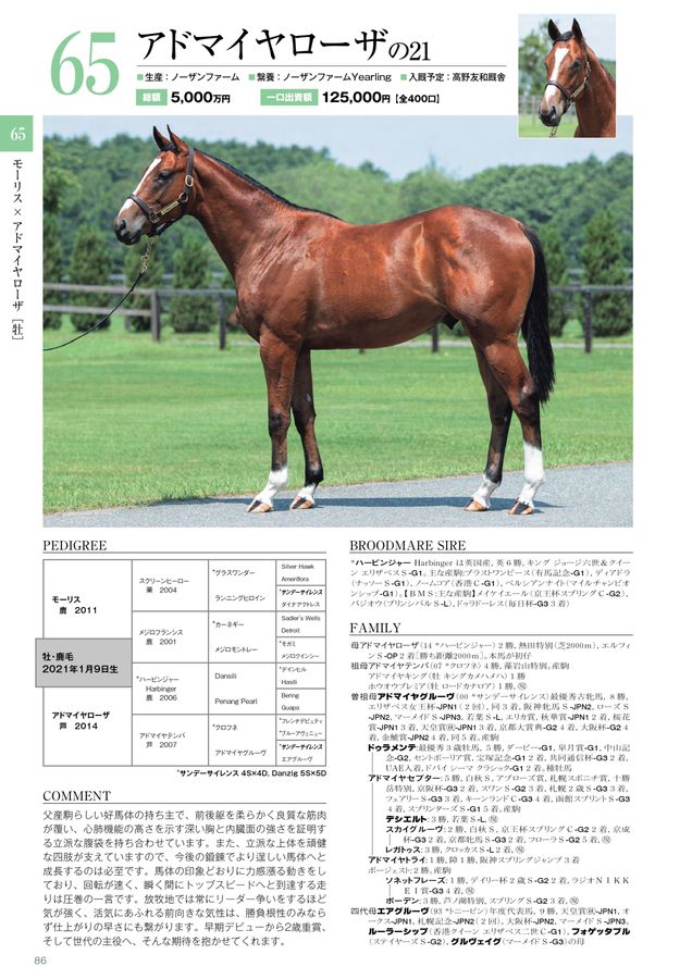 2022年度1歳募集馬カタログ