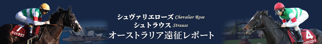 シュヴァリエローズ、シュトラウス オーストラリア遠征レポート