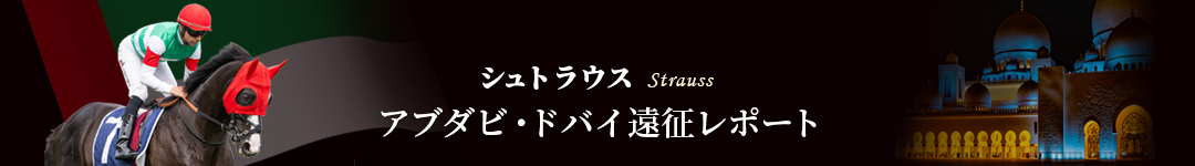 �V���g���E�X�@�A�u�_�r�E�h�o�C�������|�[�g