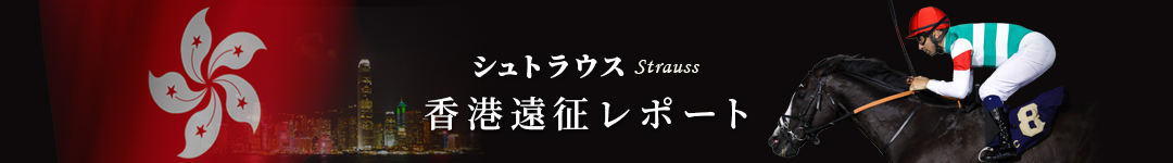 �V���g���E�X�@���`���|�[�g