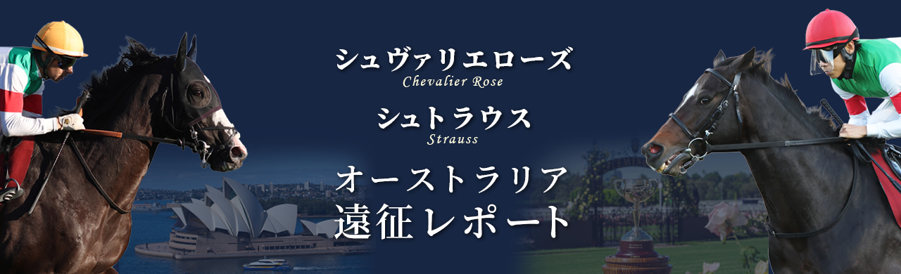 シュヴァリエローズ、シュトラウス_オーストラリア遠征レポート