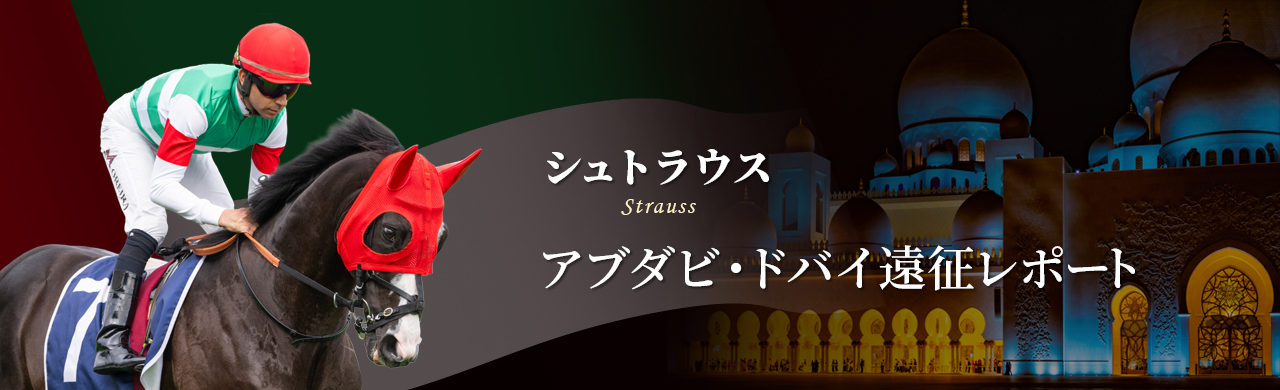 �V���g���E�X�@�A�u�_�r�E�h�o�C�������|�[�g