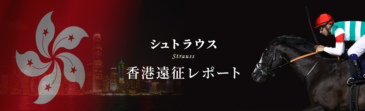 シュトラウス 香港遠征レポート