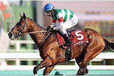 ���[�x���X�e�B�[��