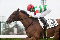 ���o�[�o���C�g