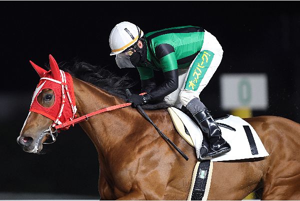 mgmg Carrot Club カタログ 競走結果 - CARROT CLUB -