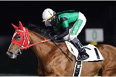 ���@�[�i���[