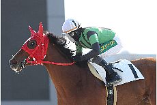 ���@�[�i���[