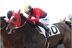 ���B���i�^�[��