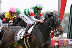 �T���X���@�e�B�[