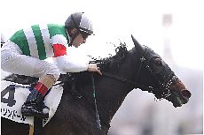 �V�����\���h�[��