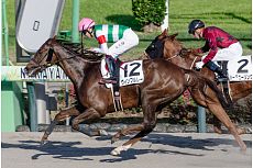 ���B���u�����[