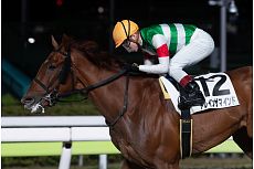 �g���C���U�}�C���h