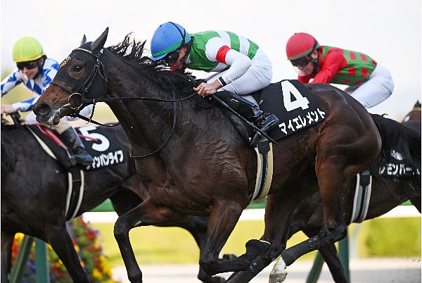 競走結果 - CARROT CLUB -