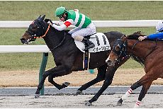 �C�}�[�W����