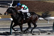 �C�}�[�W����