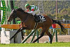 �o�[�X���C�g