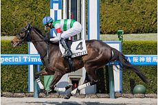 �A���}�t�F���X