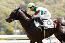 �^���e�h���B�[����