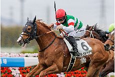 �u���N�g�[�A