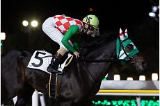 �W���C�t�����b�N