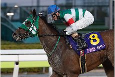 �z�[���[�O���C��