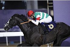 �V���g���E�X