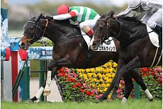 �G�{�����B���O