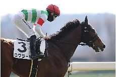 ���O���[��