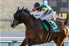 �T���_�[�X�g���b�N