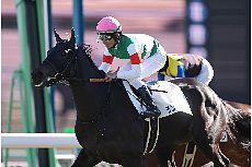 �����U���[���h