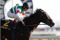 �I���l�[��