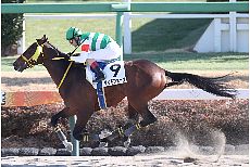 �T�C���t�F�[��