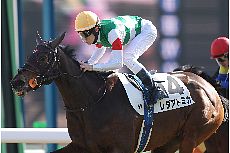 ���_�A�g�~�J