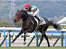 �m���u���h�[��