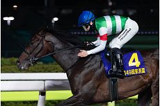 ���b�N�^�[�~�K��