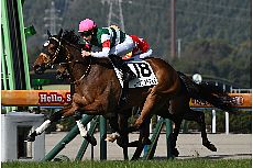 ���[�����b�g�A�C��