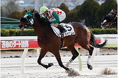 �i�C���t�H���h