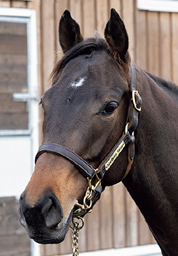 9. �T���N�e���G�[����2024