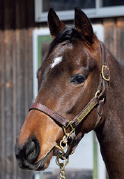 99. ���b�h�\���u������2024